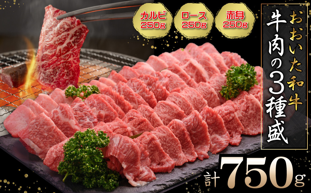 
                  おおいた和牛　牛肉の3種盛(カルビ・ロース・赤身)合計750g G10
                
