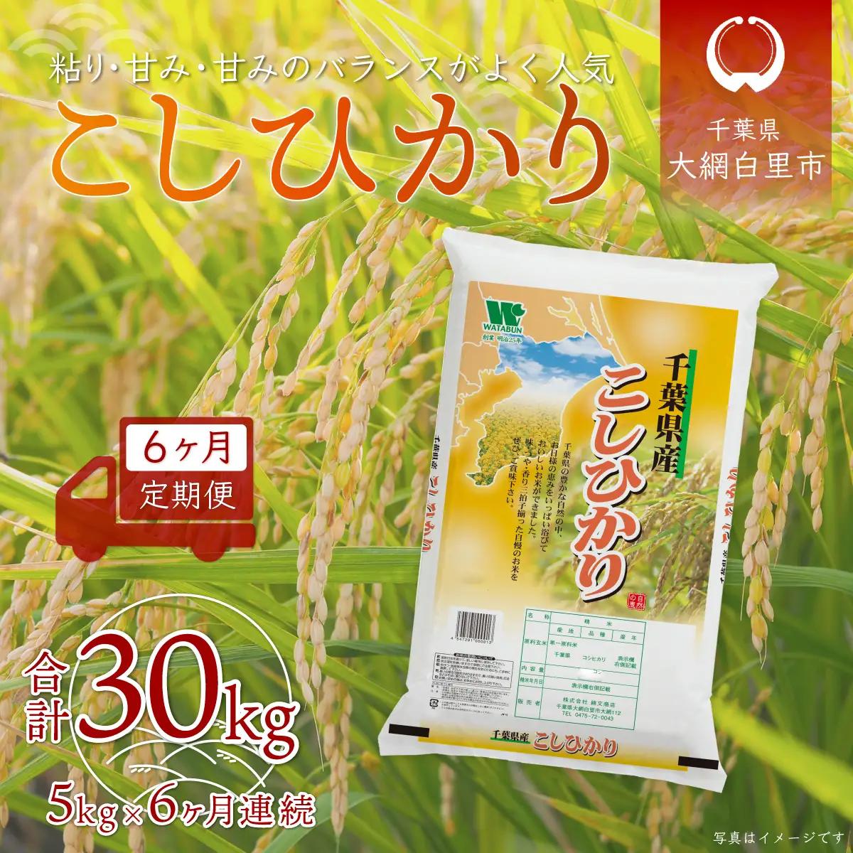 ＜6ヶ月定期便＞ 令和7年産 千葉県産「コシヒカリ」5kg×6ヶ月連続 計30kg A026