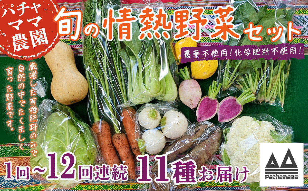 
            【選べる お届け回数】農園自慢の情熱野菜セット（11品）【定期便 野菜 詰め合わせ お任せ 季節物 セット 山芋 パセリ わさび菜 ポップコーン かぶ 人参 里芋 たまねぎ 玉ねぎ ルッコラ ほうれん草 春菊 大根 芽キャベツ レタス じゃがいも さつまいも とうもろこし そら豆 枝豆 パクチー ビーツ ほうれん草 キャベツ ピーマン なすトマト かぼちゃ】 
          