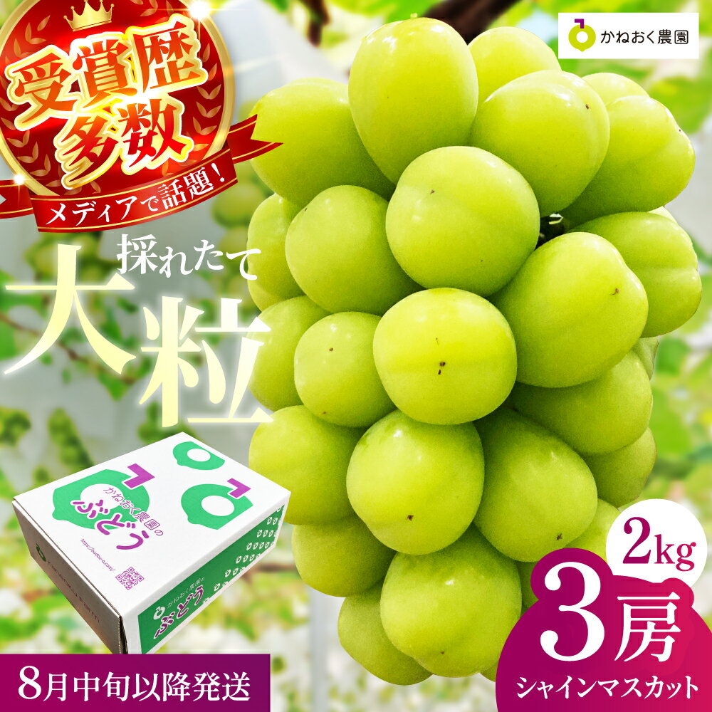 【ふるさと納税】【2025年発送 先行予約】読売テレビ・毎日放送も取材に!数量限定シャインマスカット 2kg｜ 産地直送 大粒 完熟 特選 期間限定 ぶどう フルーツ 果物 ギフト 先行予約 種なし 旬 家庭用 プレゼント 柏原市　お届け：2025年8月下旬～2025年9月初旬