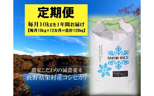 
令和6年産【定期便】減農薬コシヒカリ「SNOW RICE」白米＜毎月10kg×12か月＞
