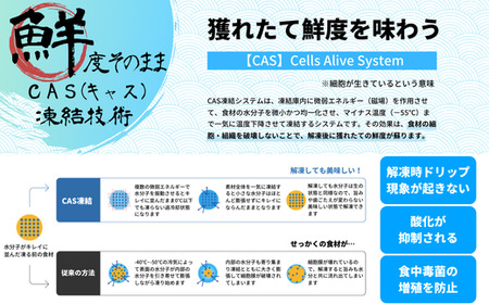 【殻剥き不要】ブランド岩牡蠣「春香」殻なし巨大3Lサイズ×3個（960g～1.2kg）