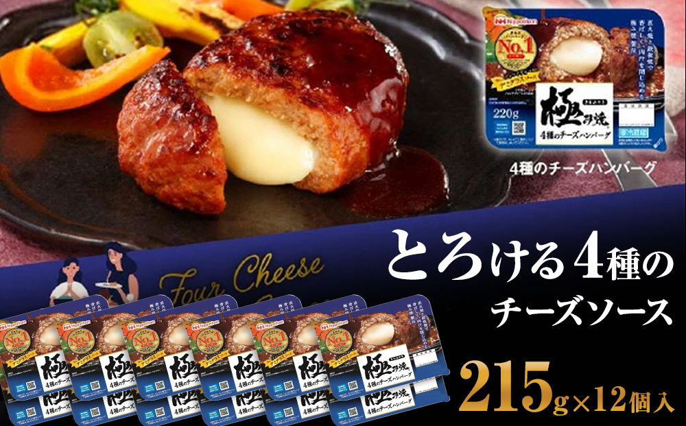 
極み焼きハンバーグ（4種のチーズソース）セット 加工食品 惣菜 レトルト
