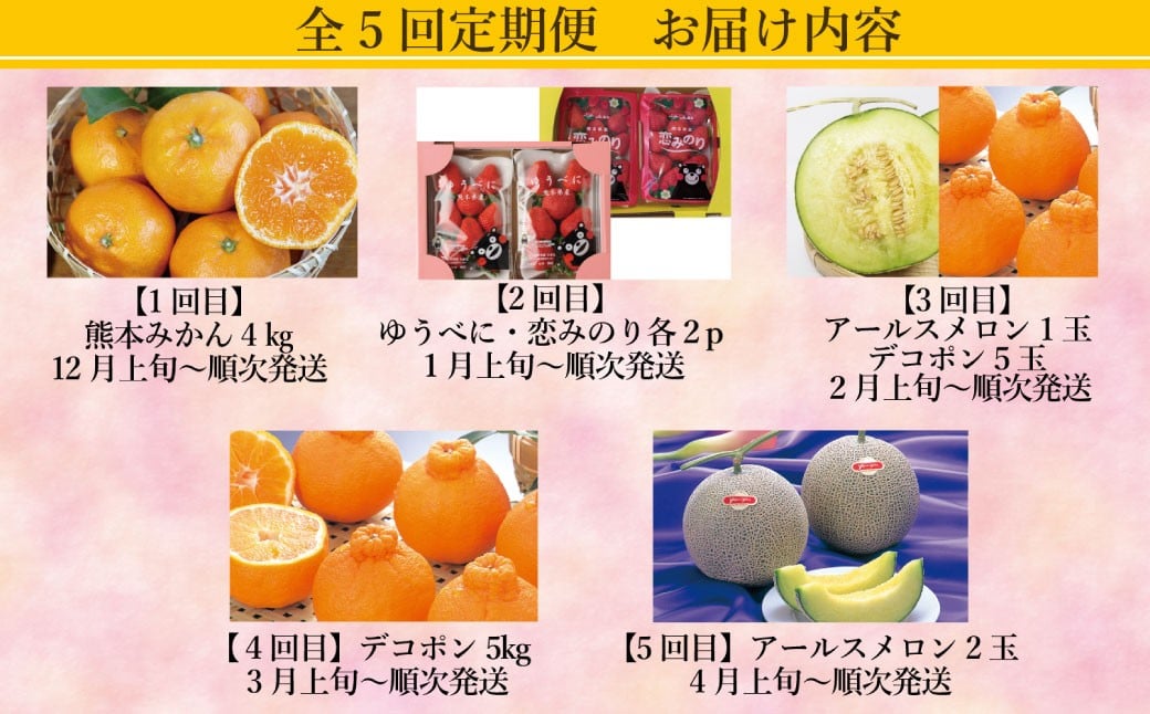 【年5回定期便】熊本おすすめフルーツ定期便（みかん・いちご・メロン＆デコポン・デコポン・メロン）