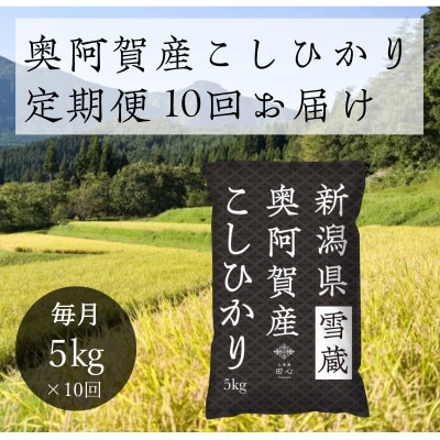 【発送月固定定期便】新潟県奥阿賀産こしひかり 精米5kg全10回【4054321】