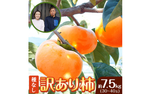  和歌山県産 訳あり 柿 品種おまかせ 約7.5kg (30~40玉) 児玉農園《2024年9月中旬-11月上旬頃出荷》 和歌山県 紀の川市 かき カキ 種なし 果物 フルーツ