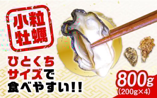 【12月28日（日）着】生産量日本一！【生牡蠣】レンジでチンするだけ簡単！江田島の小粒牡蠣『がきんちょ』(200g×4パック) (加熱用) 牡蠣 カキ レンチン おかず かき 江田島市/株式会社門林水産 [XAO003] 牡蠣 むき身 殻付き 殻付 殻 かき カキ 生牡蠣 広島牡蠣 オイスター カキフライ 魚介類 魚介 貝類 海鮮 広島県産 国産 産地直送 贈答 ギフト 特産品
