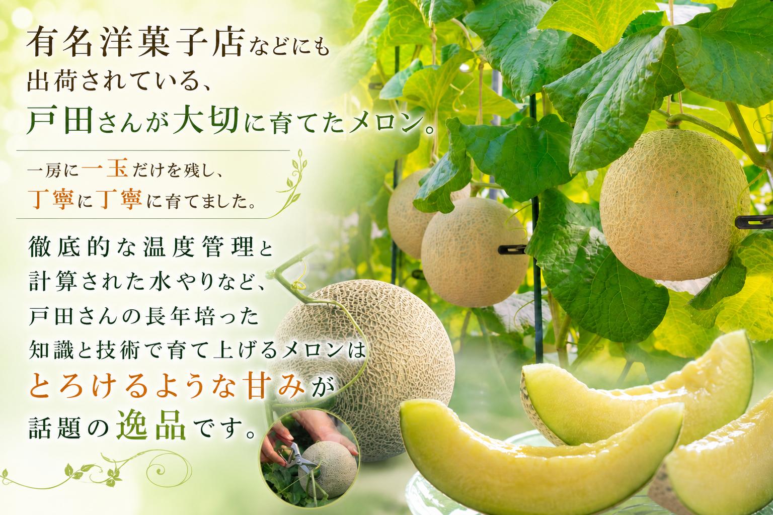 メロン 訳あり 通年発送 【約1.3kg ×3玉】 アクアメロン マスクメロン