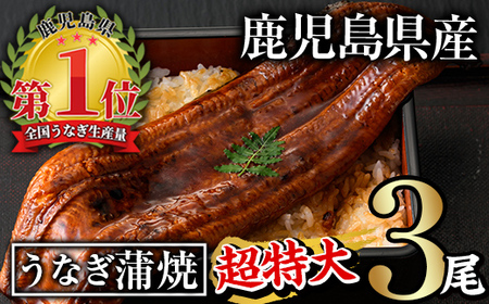 鹿児島県産うなぎ蒲焼セット＜超特大＞(計600g・ 約200g×3尾) タレ・山椒付き 鰻 ウナギ 国産【西日本養鰻】A507