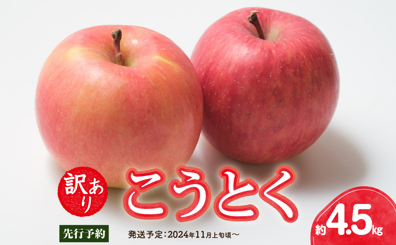 
《先行予約》訳ありこうとく約4.5kg【2024年11月上旬頃～発送予定】【大江町産・山形りんご・りんご専科 清野哲生】 【015-063】
