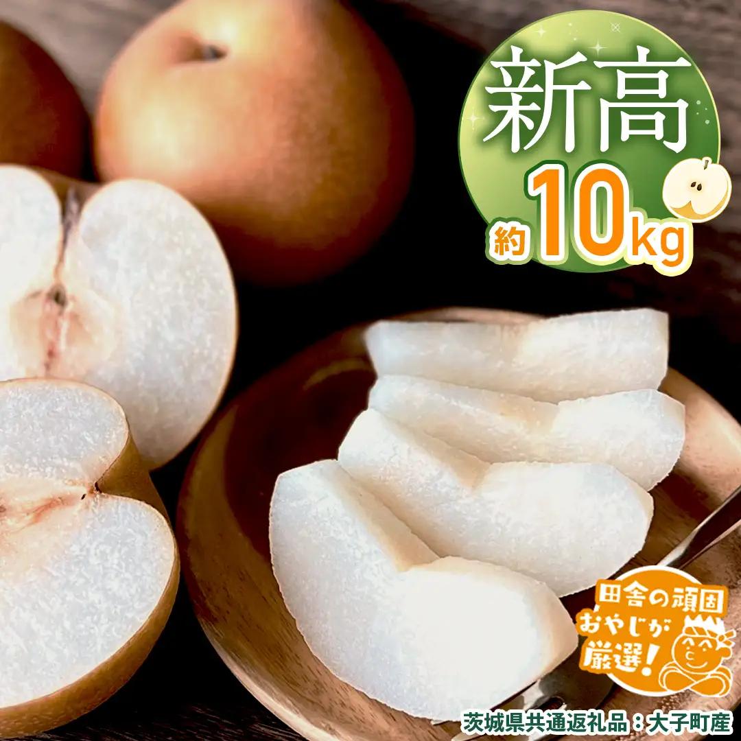 梨 新高 約10kg 【2026年10月より発送開始】（茨城県共通返礼品 [梨]：大子町産） フルーツ 果物