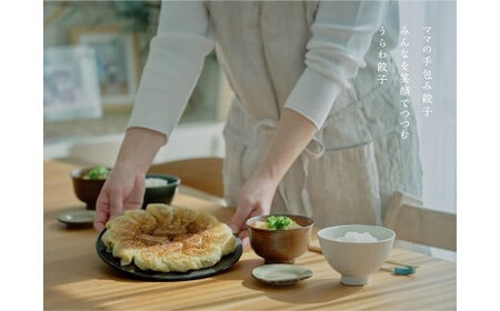 うらわ餃子　レギュラー30個・しそ10個・旨辛10個セット　【11100-0730】