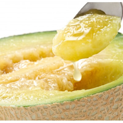 【春メロン】果汁たっぷり!茨城県産アンデスメロン 特秀2玉【配送不可地域：離島・沖縄県】