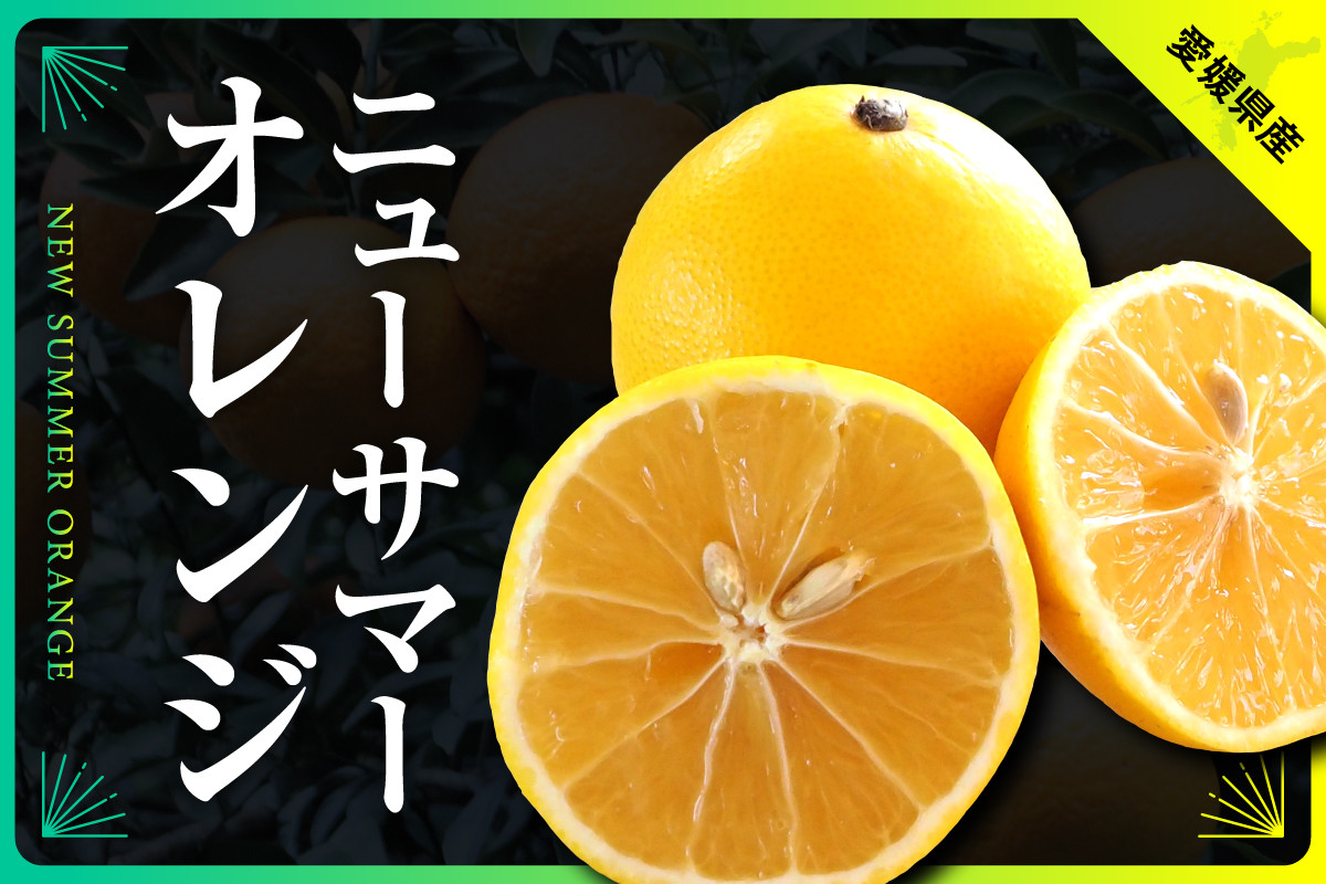 
            ニューサマーオレンジ　約7kg(ご家庭用)＜C31-26＞_ 訳アリ わけあり ワケアリミカン みかん 日向夏 小夏 フルーツ 果物 くだもの 家庭用 人気 柑橘 かんきつ 不揃い 規格外 傷 愛媛 旬 産地直送 産直 季節限定 【1103591】
          