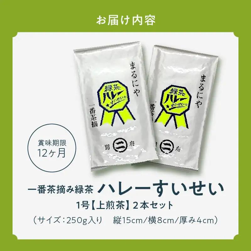 一番茶摘み緑茶ハレーすいせい1号(上煎茶)250g　2本セット_B079-011