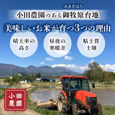 ふるさと納税 東御市 白米8kg(4kg×2袋) 冷めても美味しいコシヒカリ【小田農園】|最短4〜7日程度でお届け |  | 02