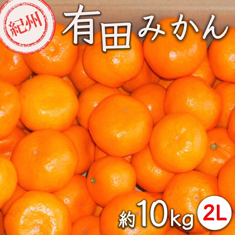 【ふるさと納税】【先行予約】【秀品】有田みかん 約10kg（2L サイズ）和歌山県産｜みかん ミカン 和歌山 由良 フルーツ 果物 柑橘 和歌山県産 お取り寄せ 人気