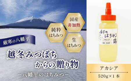 【 国産純粋はちみつ 】　アカシア 蜂蜜 非加熱 520g ×1本 ／ あかしあ アカシヤ はちみつ ハチミツ ハチ蜜 ハニー 国産 国内産 日本産 岩手県産 八幡平市産 家庭用 自家用 プレゼント ボトル 長期保存 産地直送 おすすめ【八幡平高橋養蜂】