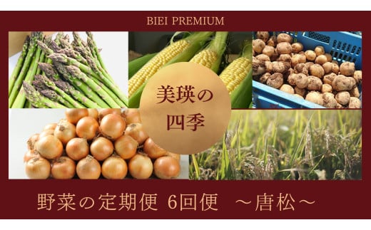 【先行予約】<令和7年産 > 美瑛の四季 野菜 定期便【唐松】6回便 |  アスパラ とうもろこし 玉ねぎ いも 芋 イモ じゃがいも ジャガイモ 米 こめ お米 コメ 食べ比べ 送料無料 セット人気 おすすめ ランキング 美瑛 北海道 美瑛町 北海道美瑛 令和7年産 野菜 6か月 6回便 6回[063-06]