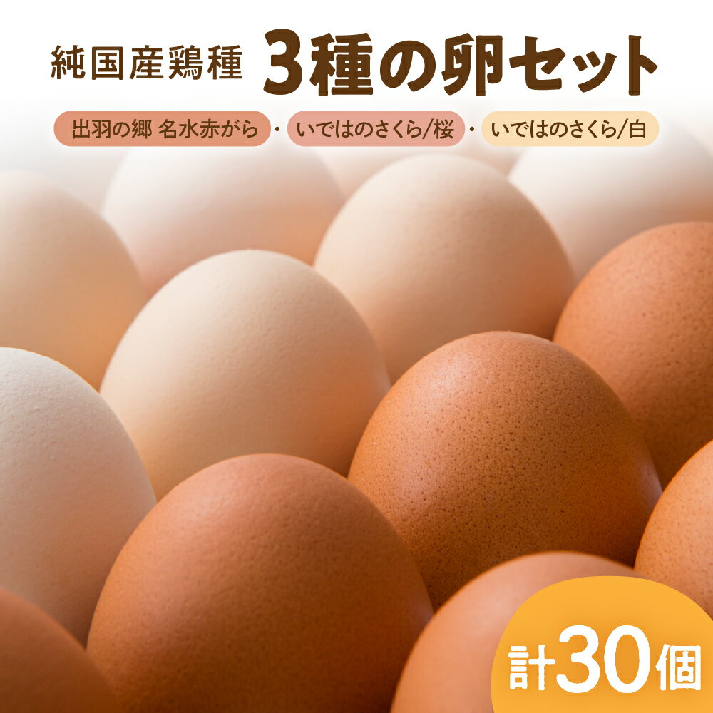 【ふるさと納税】3種の 卵 セット 30個 / たまご タマゴ 玉子 30個 卵 鶏卵 半澤鶏卵 新鮮 濃厚 赤玉 卵かけごはん TKG 親子丼 オムレツ 出羽の郷名水赤がら いではのさくら/桜 いではのさくら/白 人気 送料無料 山形県 東根市