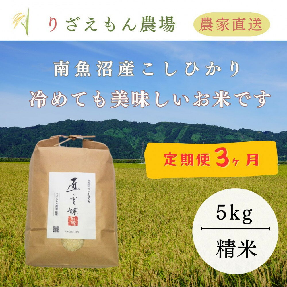 【ふるさと納税】【定期便3回×5kg《合計15kg》】令和7年産　南魚沼産コシヒカリ　白米5kg　＼生産農家直送／ | お米 こめ 白米 コシヒカリ 食品 人気 おすすめ 送料無料 魚沼 南魚沼