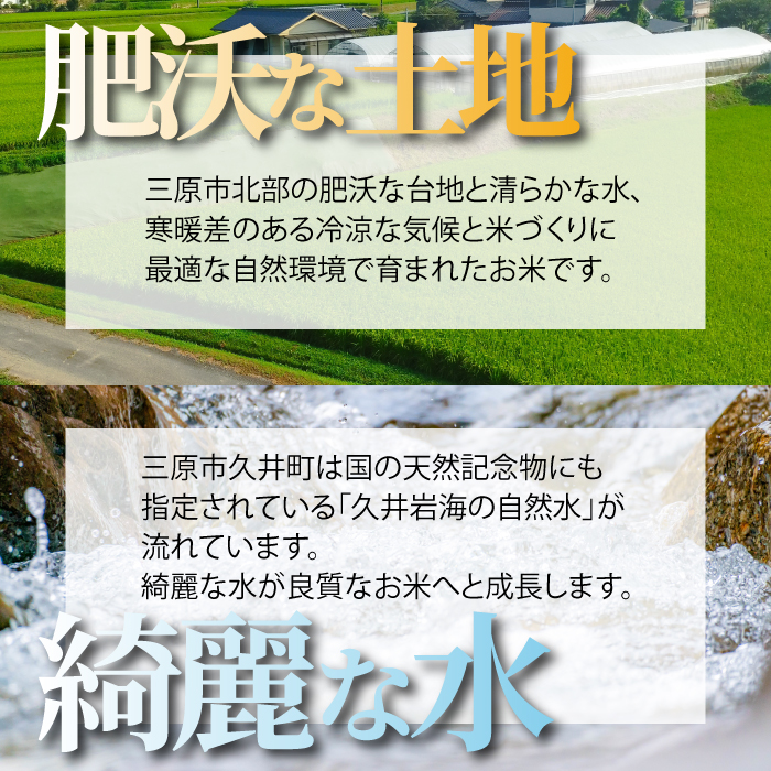 【令和7年新米】コシヒカリ 精米（白米）5kg 新米 コシヒカリ こしひかり ごはん お米 米 おにぎり 181002