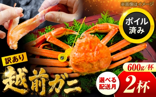 【先行予約/3月配送】訳アリ 脚折れあり 越前がに 600ｇ×2ハイ 小浜市 / まるほ商店【配送不可地域：北海道・沖縄・離島】 [BFCS063-3]