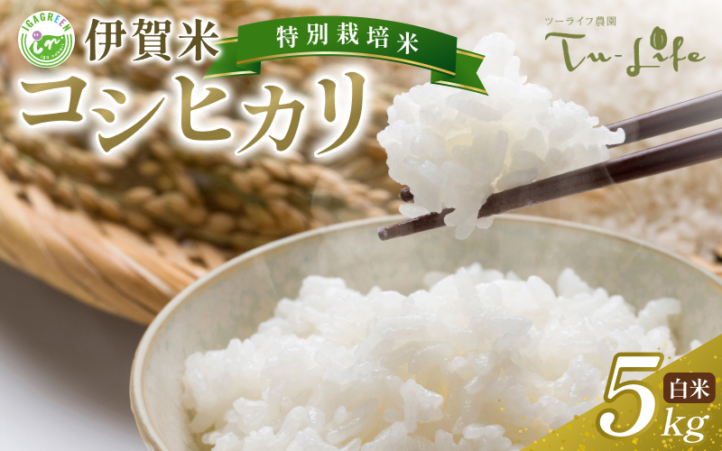 特別栽培米・伊賀米コシヒカリ 5kg【tuli0001A】