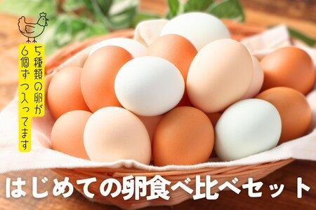 はじめての卵 食べ比べセット 6個×5種類(内割れ保証5個、各種1個ずつ)｜卵 卵 卵 卵 卵