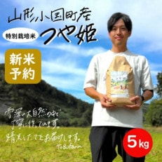 【新米 先行受付】令和6年産 つや姫5kg　精米　山形県小国町産