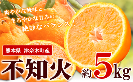 不知火 先行予約 約5kg デコポン と同品種 期間限定 《4月上旬-5月末頃出荷》熊本県 葦北郡 津奈木町 つなぎ百貨堂 フルーツ 柑橘 ｜不知火不知火不知火不知火不知火不知火不知火不知火不知火不知火不知火不知火不知火不知火不知火不知火不知火不知火不知火不知火不知火不知火不知火不知火不知火不知火不知火不知火不知火不知火不知火不知火不知火不知火不知火不知火不知火不知火不知火不知火不知火不知火不知火不知火不知火不知火不知火不知火不知火不知火不知火不知火不知火不知火不知火不知火不知火不知火不知火不知火不知火不知