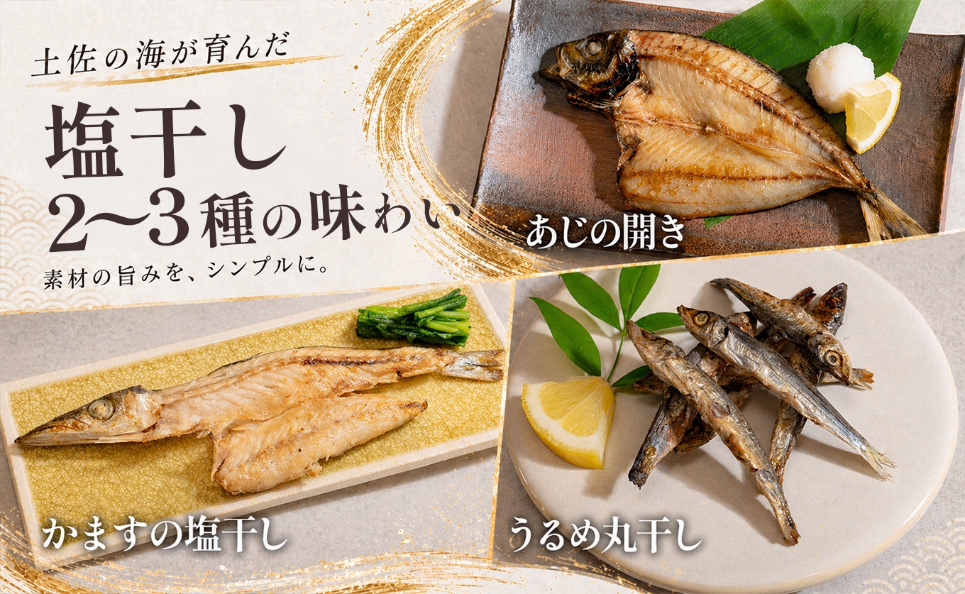 干物セット 2?3品 土佐の朝ごはん 干物 冷凍 個包装 焼き魚 ご飯のお供 母の日 父の日 ギフト 贈答 贈り物 御祝 内祝 お取り寄せ プレゼント お中元 お歳暮 旬 魚 海産物 おかず 高知県 