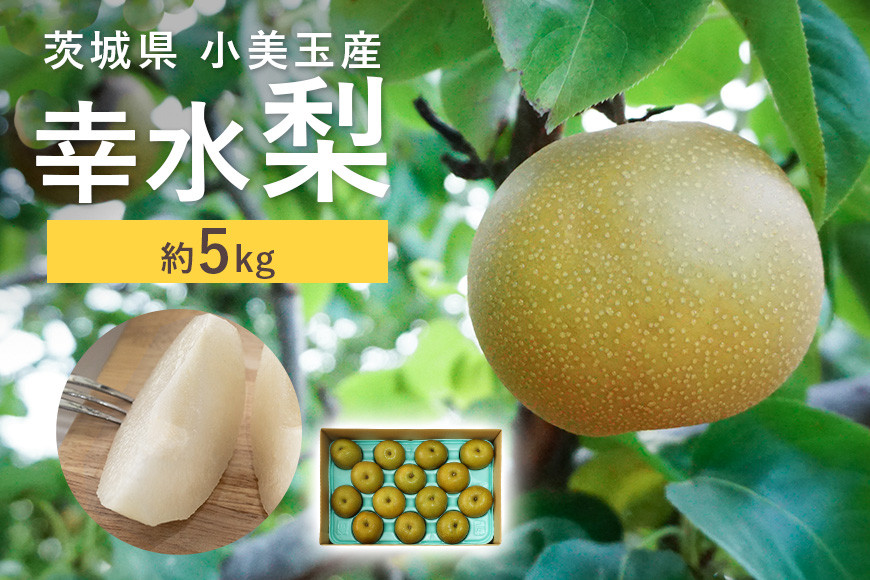 
                  【数量限定 / 夏季限定】 梨（幸水） 約5kg 梨 なし ナシ 日本梨 こうすい コウスイ 17-C 【8月中旬～下旬発送予定】
                