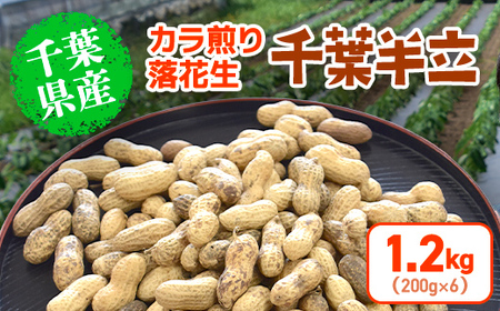 【先行予約】【12月上旬から発送】千葉県産 カラ煎り落花生 千葉半立 1.2kg（200g×6） SMF005