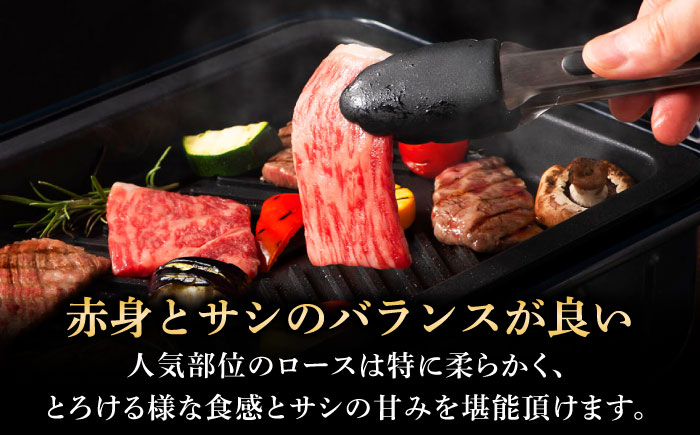 フジチク 藤彩牛 ロース 焼肉用 約400g 牛肉 黒毛和牛 国産【株式会社フジチク】 [BHAD003]