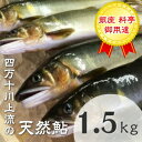 【ふるさと納税】Esj-43k　四万十川上流の天然鮎 釣り鮎【冷凍　6～22尾】【着日指定不可】