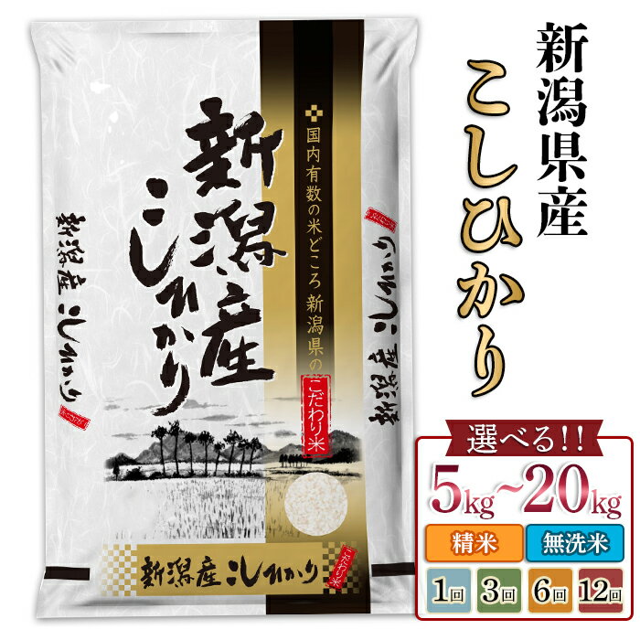 【ふるさと納税】新米予約 令和7年産 米 無洗米 定期便 5kg 10kg 2kg 小分け 新潟 コシヒカリ 精米 白米 お米 選べる 1回 3回 6回 12回 3ヶ月 6ヶ月 12ヶ月 新潟こしひかり 新潟県産コシヒカリ（サンヴィリッジ新潟）