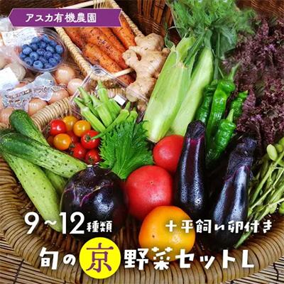 ふるさと納税 亀岡市 旬の京野菜セットL(平飼い卵付) 詰め合わせ※栽培期間中、農薬・化学肥料不使用＜アスカ有機農園＞