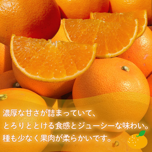 ＜ご家庭用＞ 2月中旬から順次発送 せとか 2.5 kg | 訳あり 蜜柑 高級 果物 甘い フルーツ みかん ミカン オレンジ 柑橘 食べて応援 特産品 愛媛 松山【SU012】