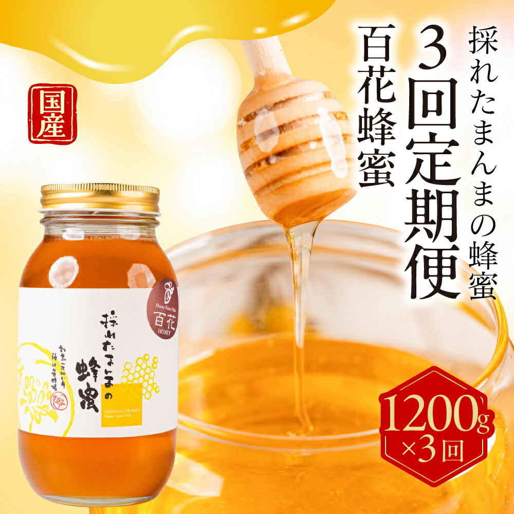 【ふるさと納税】【国産蜂蜜】百花 1200g 3回定期便　蜂蜜 はちみつ 国産 定期便 純粋 生はちみつ 天然 パッカー容器 人気 おすすめ 送料無料 ギフト