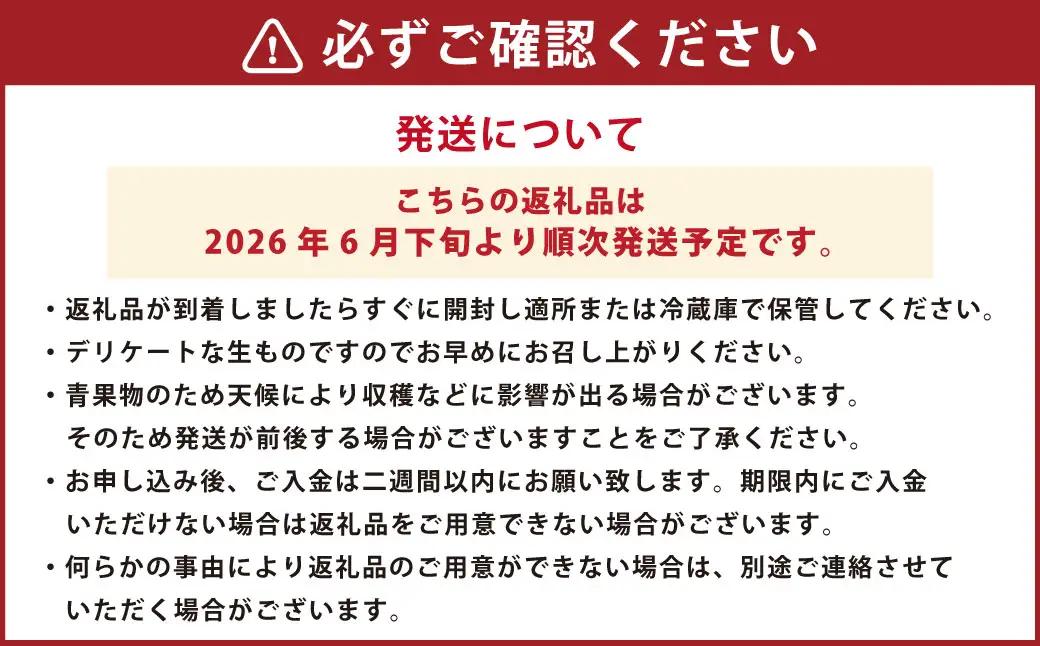 熊本産 パッションフルーツ 1kg前後【2026年6月下旬～8月上旬発送予定】 果物 フルーツ くだもの 美容 健康 栄養素