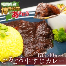 【3ヵ月毎定期便】あまおうがほのかに香る 博多和牛の牛筋ゴロっとカレー(10袋)(遠賀町)全3回