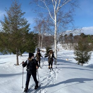 気軽に雪原散策、モヤヒルズSnowHikeツアー1名様【体験時間:約2時間】【1525441】