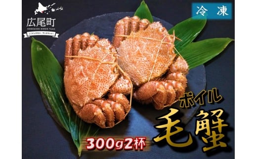 毛ガニ300g×2杯（冷凍茹で）【けがに　ケガニ　毛蟹　毛がに　カニ　太平洋　北海道　広尾町　冷凍　ボイル】(0100)