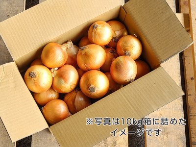 【あさひサンファーム】【10kg】兵庫県認証食品★特別栽培★淡路島たまねぎ