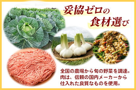 肉と野菜の究極のバランス『宇都宮AQ餃子』2.1kg｜餃子 ぎょうざ ギョーザ ビッグ餃子 大容量 冷凍 国産野菜 国産豚肉 おかず グルメ 簡単調理 お手軽 日光市 栃木県 栄久食品 [0654]