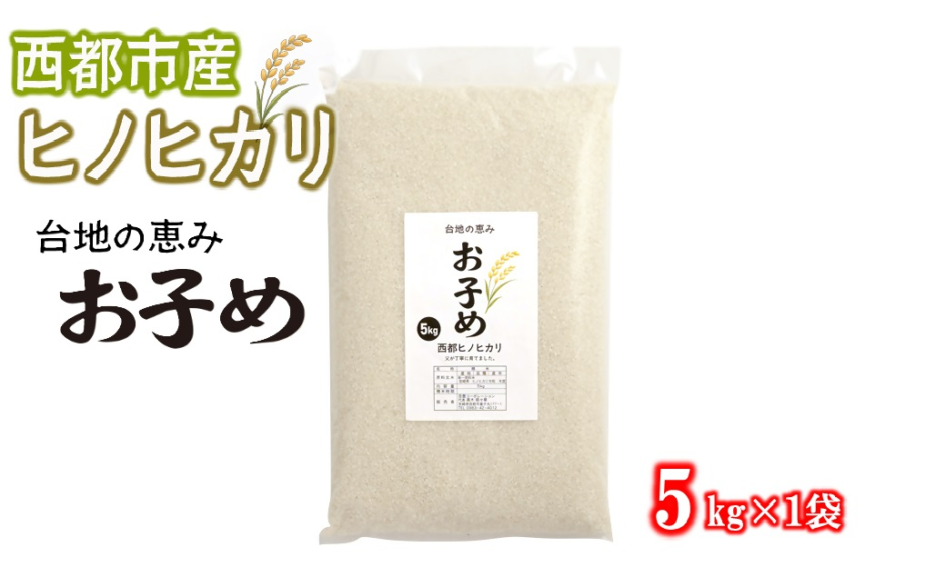 【先行受付】令和8年産ひのひかり5kg～台地の恵み『お子め』～西都市産【※10月以降順次発送】精米済み＜59-2a＞