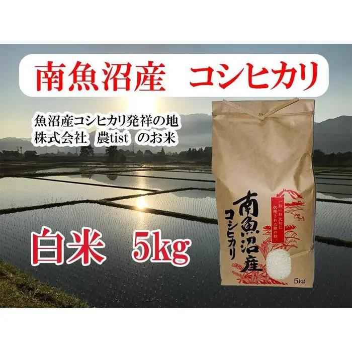 【令和7年】【南魚沼産】コシヒカリ 白米5kg｜コシヒカリ