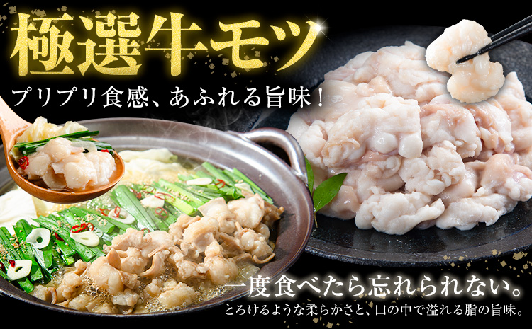 もつ鍋 博多牛もつ鍋 フルセット 薬味 生麺 あり 味噌味 4人前《7-14営業日以内に出荷予定(土日祝除く)》もつ 牛もつ もつ鍋 味噌 みそ 博多 鍋 送料無料 博多 薬味 ちゃんぽん麺 〆 1人