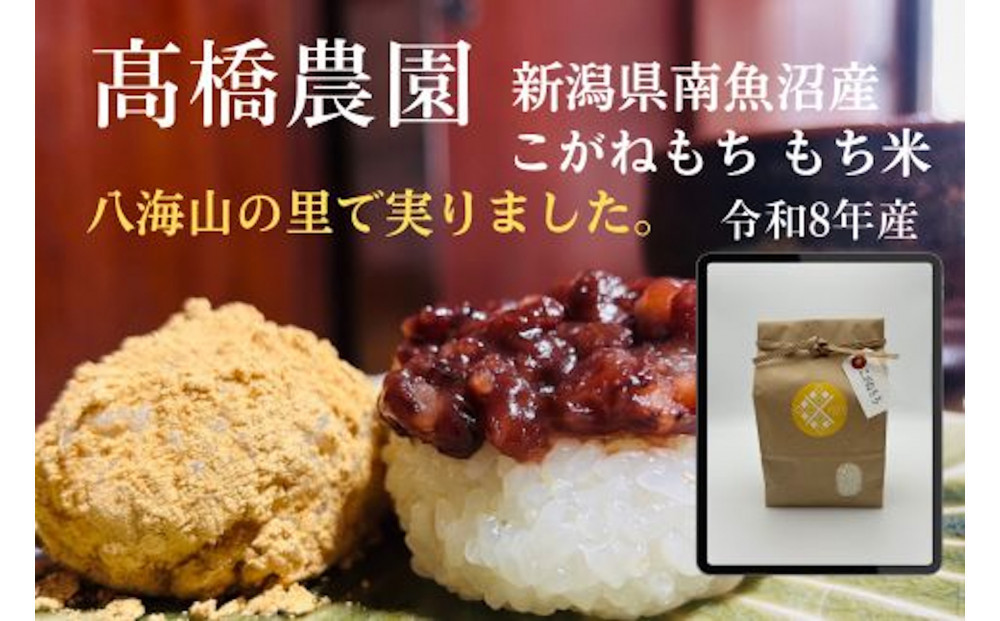 新米です！[令和8年産] 南魚沼産こがねもち5kg　八海山の里で実りました。【銘柄米 精米 もち米 魚沼産 新潟米 お米 米 こめ コメ ご飯 御飯 ごはん】